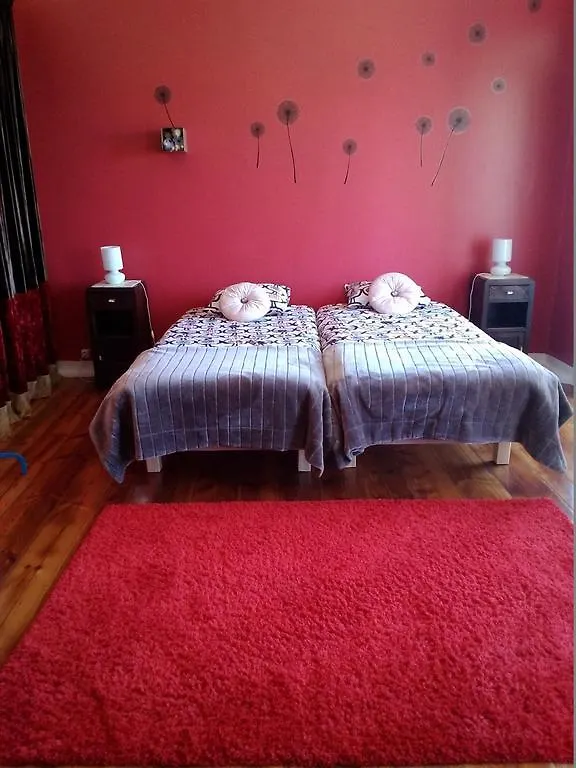 ליסבון Hostel Graca 28